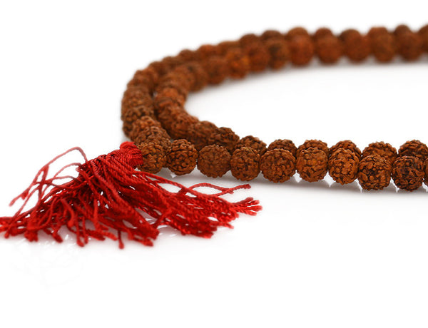 Rudraksha Buddhist Mala Beads